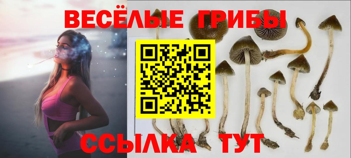 Псилоцибиновые грибы Cubensis  Вход с VPN  Галлюциногенные грибы ЛСД  Энгельс 