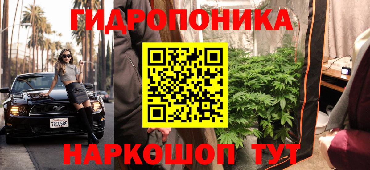 Бошки Шишки гибрид  Вход с VPN  Энгельс  Шишки марихуана OG Kush  Марихуана MAZAR 